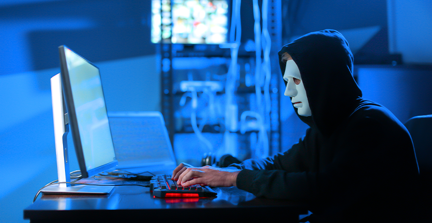 MEIs são alvos de golpes na internet; confira os mais comuns