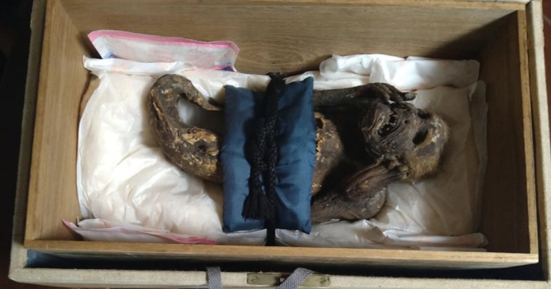 Sereia mumificada do Japão: cientistas desvendam esse MISTÉRIO!