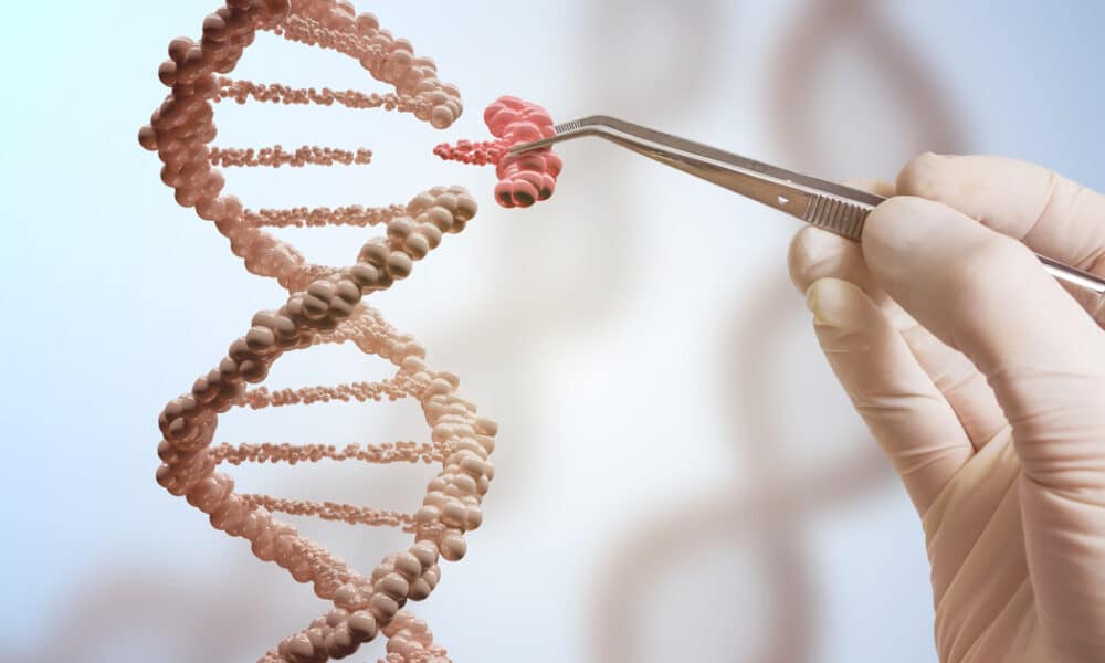 Raízes Ancestrais? App Revela Segredos do Sobrenome e Surpreende!