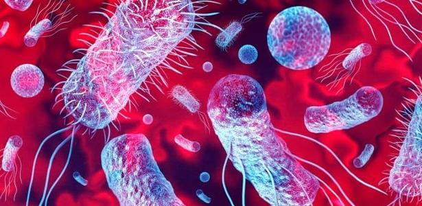 'Marcianos' no estômago? Bactérias indicam vida em ambientes extremos