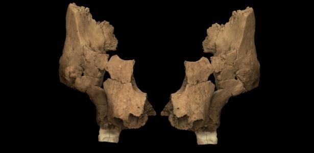 rosto mais antigo do oeste europeu revela segredos da evolução