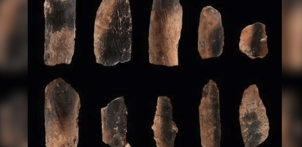 Estudo descobre por que humanos usaram fogo pela primeira vez Estudo descobre por que humanos usaram fogo pela primeira vez