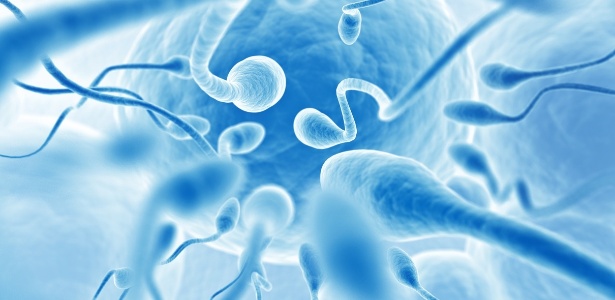 Entenda como IA ajudou casal a engravidar após 18 anos de tentativas