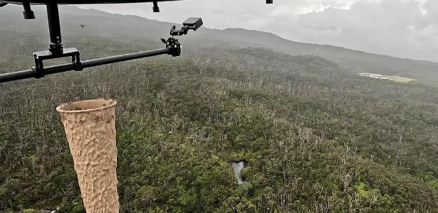 Por que cientistas usam drones para soltar mosquitos no Havaí