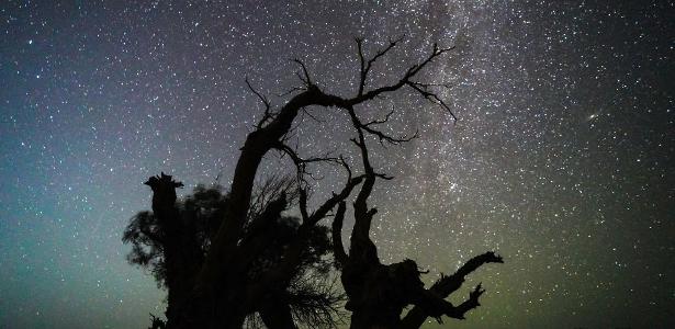 Chuva de meteoros Perseidas atinge pico semana que vem: saiba como assistir
