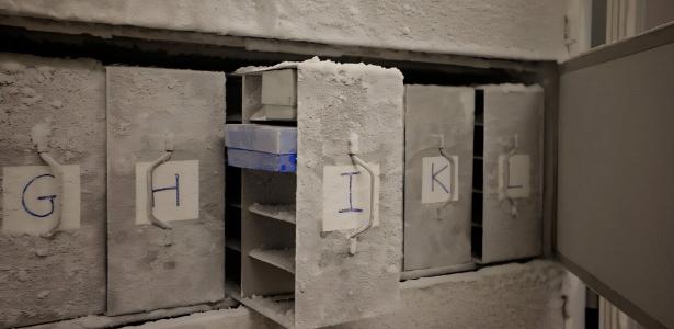 Cientistas criam arca de Noé para microrganismos ameaçados