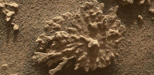 Rocha com formato de coral é descoberta em Marte por sonda da Nasa