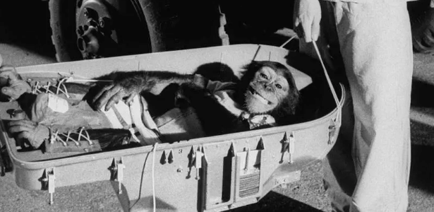 os animais que já foram enviados ao espaço