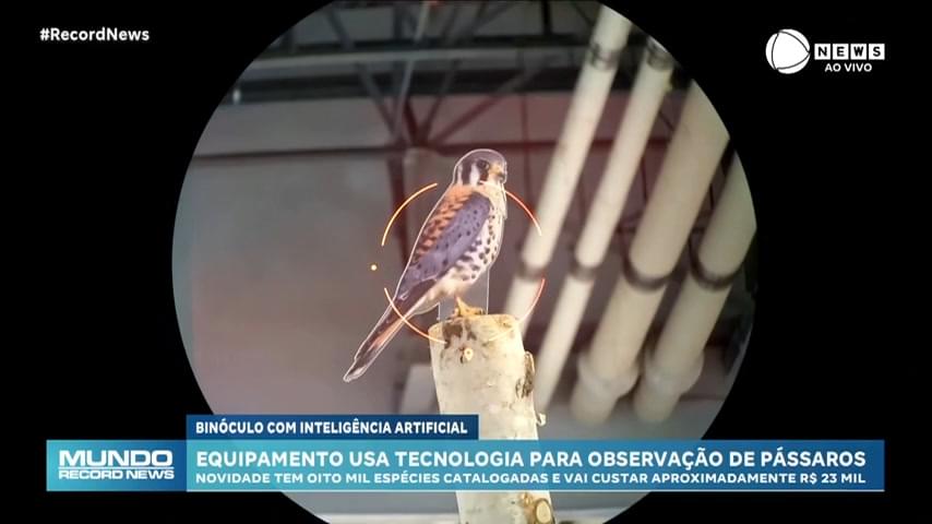 Binóculo controlado por inteligência artificial mostra espécies de pássaros - Notícias